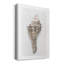 Sea Front Shell I - impression sur toile tendue-886172607