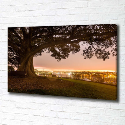 Old Tree - Wrapped Canvas Print
