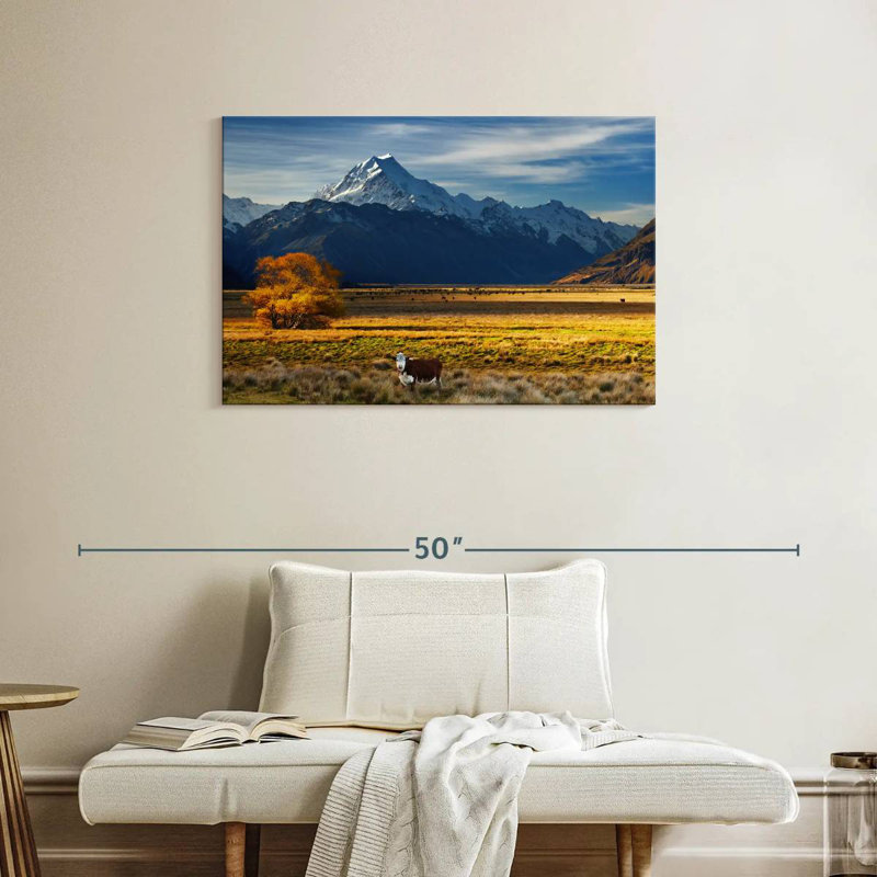 Nicci Mount Cook Farmland