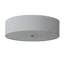 Zihlman 4 - Light Flush Mount