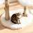 Solid Wood Cat Tree Tower, Natural Wooden Cat Furniture for Indoor Cats, Modern Cat Tree, Sisal Scratching Posts and Hanging Toys, 33"