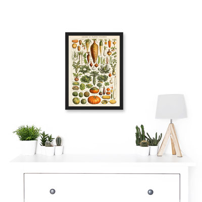 Millot Encyclopedia Vintage Vegetables Legumes Nature - Single Picture Frame Print