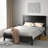 Algene Platform Bed-242550564-242550562