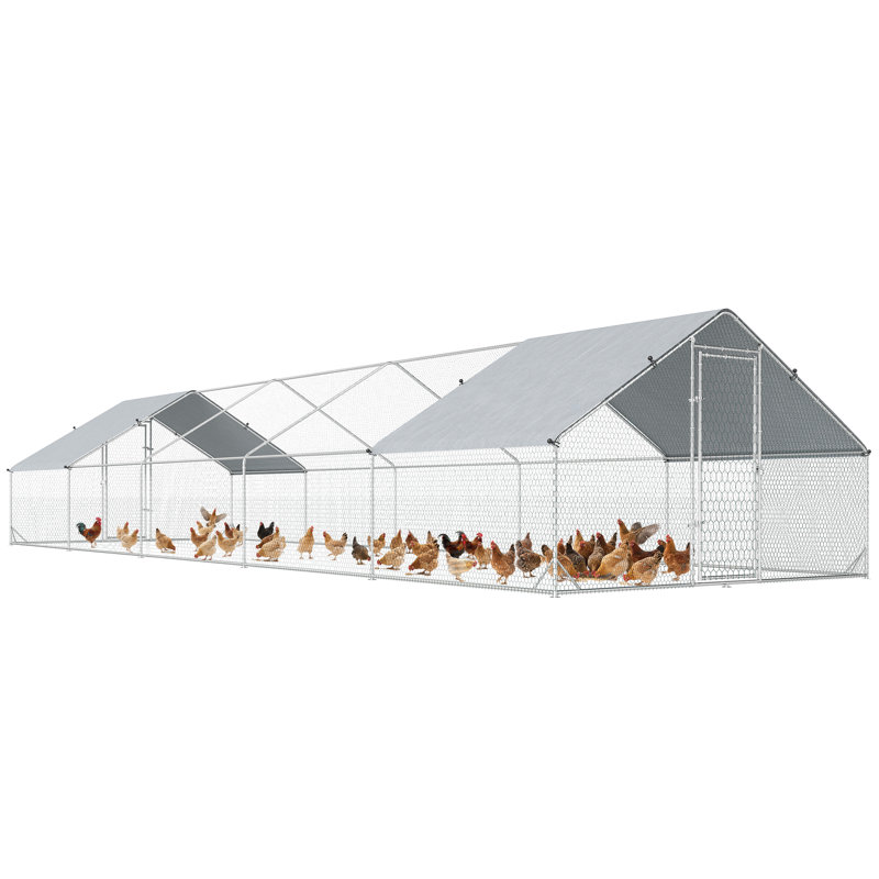Poulailler avec couloir Mitzel, H 79 po x l 118 po x P 394 po