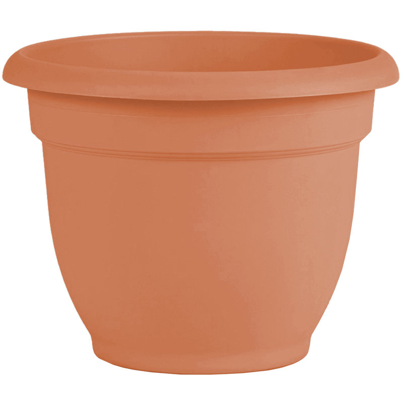 Pot à fleurs intérieur / extérieur Traditional, H 10,25 po x l 13 po x P 13 po, Terre cuite atténuée