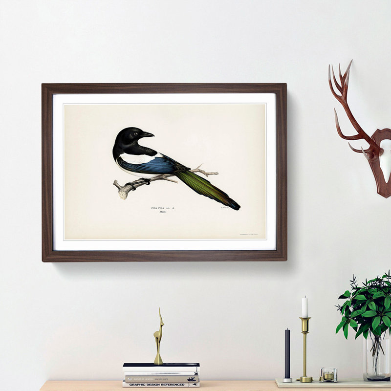 Eurasian Magpie by Von Wright - Picture Frame Painting Print, 36cm H x 48cm W x 2cm D, Walnut Framed