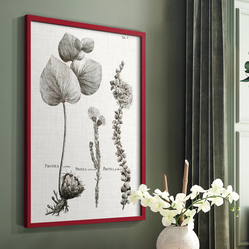 Protea II Framed Print - Solid Wood, Red, 10" H x 8" W