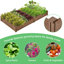 Wooden Raised Garden Bed-852536874-851445209