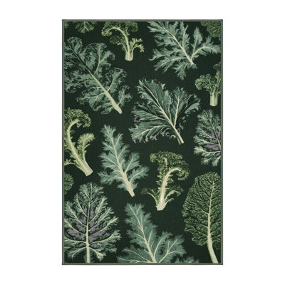  Tapis lavable Kale Brassica oleracées