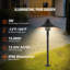 Lampe flottante d'extérieur à brancher 10 po