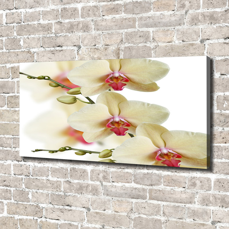 Orchid - Wrapped Canvas Print, 70cm H x 140cm W