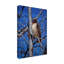 Fazulla «Red Tailed Hawk», reproduction de peinture acrylique sur toile tendue-27488724