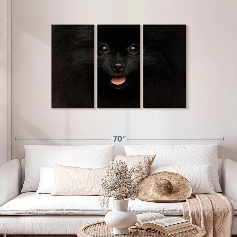 Brampt Black Pomeranian Spitz, 28" H x 45" W