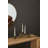 Oyster Mushroom Candleholder