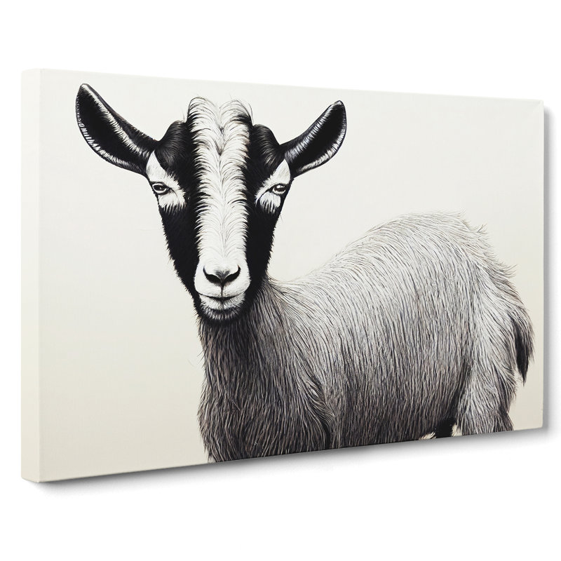 Portrait of a Goat - Wrapped Canvas, 35cm H x 50cm W x 3cm D