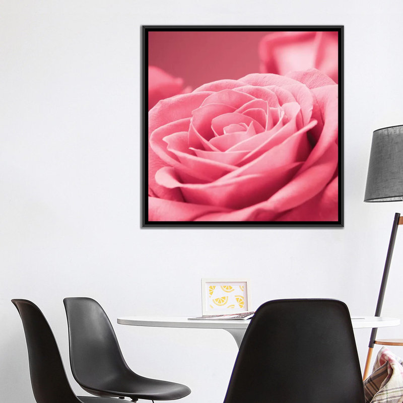 « rose rose i », impression sur toile, H 37 po x l 37 po x P 1,5 po, Toile avec cadre noir, Pas de tapis