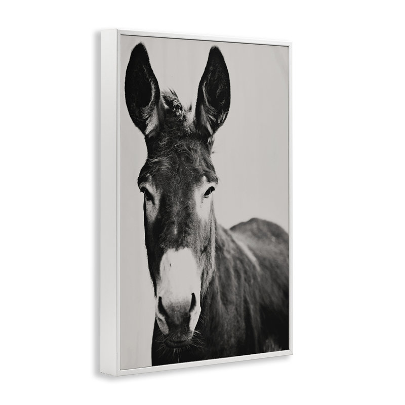 Portrait de Franz l'âne, estampe numérique, design par Amy Carroll, H 18 po x l 12 po, Giclée encadrée blanc bord de mer