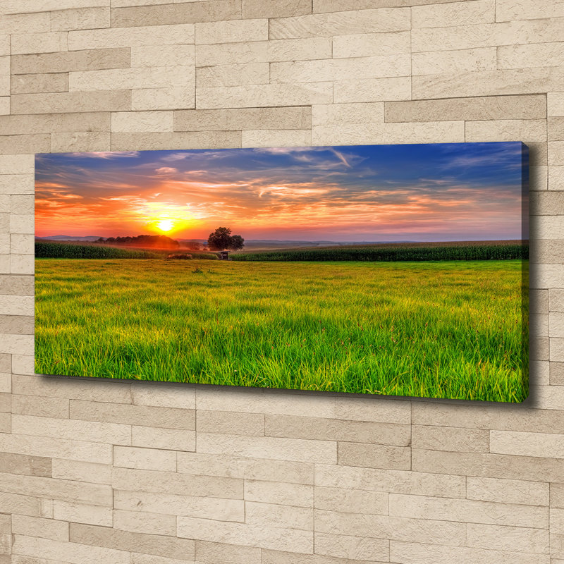 Sunset Meadow - No Frame Print on Canvas