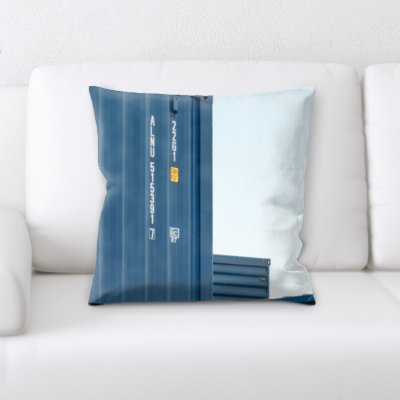 Coussin décoratif