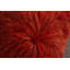  Coussin décoratif à poils longs-184393464-239313706-239313708