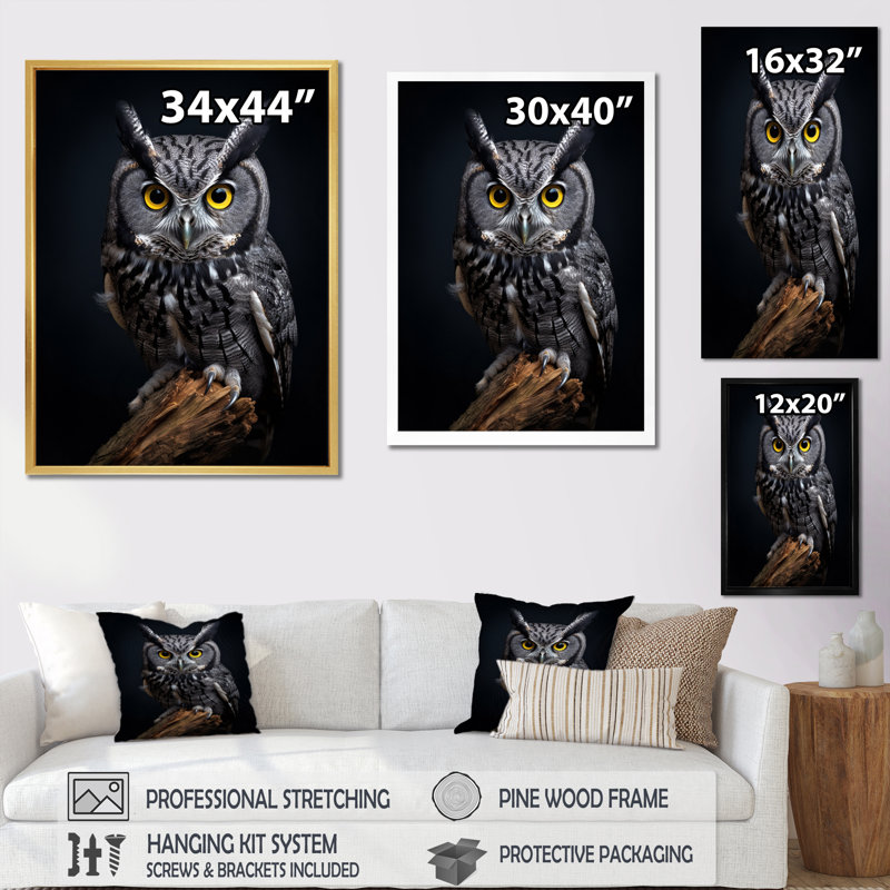«Black», Curious Eyes Owl II - impression d'art mural hibou, Cadre photo noir, H 32 po x l 24 po x P 1 po