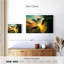 Gillard Sunlit Wave-108710951