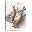 Deux oiseaux morts - 1823-132988441