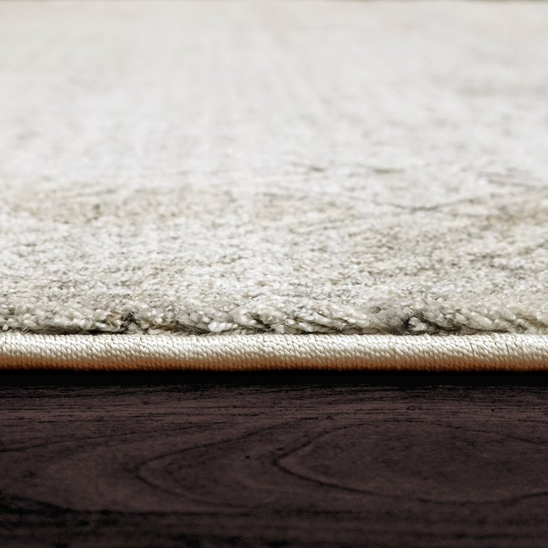 Tapis gris / beige à motif géométrique Ledezma, Rectangle 2 pi x 3 pi 11 po