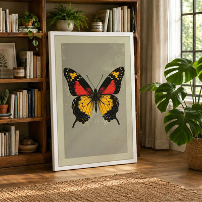 Butterfly Specimen Vintage - Wrapped Canvas