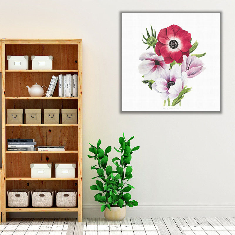 «Anemone Blooms I», reproduction d'art sur toile, H 12 po x l 12 po