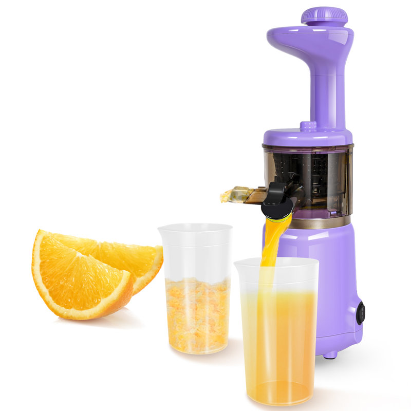 CAYNEL Compact and Portable Cold Press Juice, Masticating Slow Juicer with 1.77” Extra Wide Inlet Funnel for Fruites and Vegetables,Includes Brush, 16 oz Juice Cup, Easy to Clean