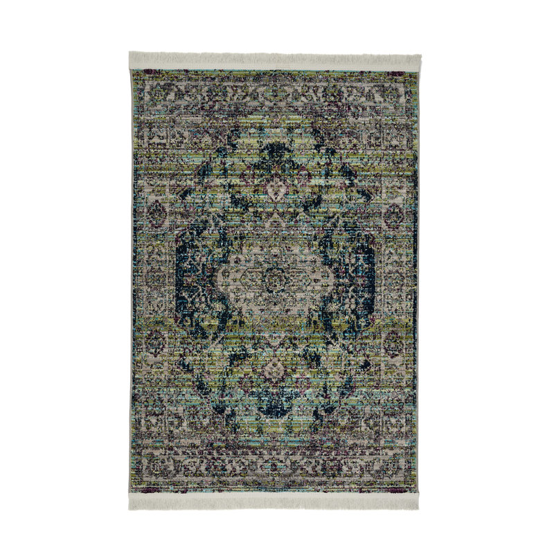 Oriental 160cm X 240cm Area Rug