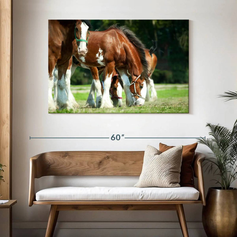 Brampt Clydesdale Horses, H 32 po x l 48 po