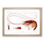Shrimp Illustration by Albert I - Picture Frame Painting Print-55619429-55619432