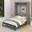 Full Size Murphy Bed