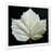 Cadre simple blanc