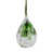 Vert / Transparent est en rupture de stock