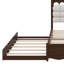 Grand lit plateforme en bois avec 2 grands tiroirs et lit gigogne simple TG-1991849050
