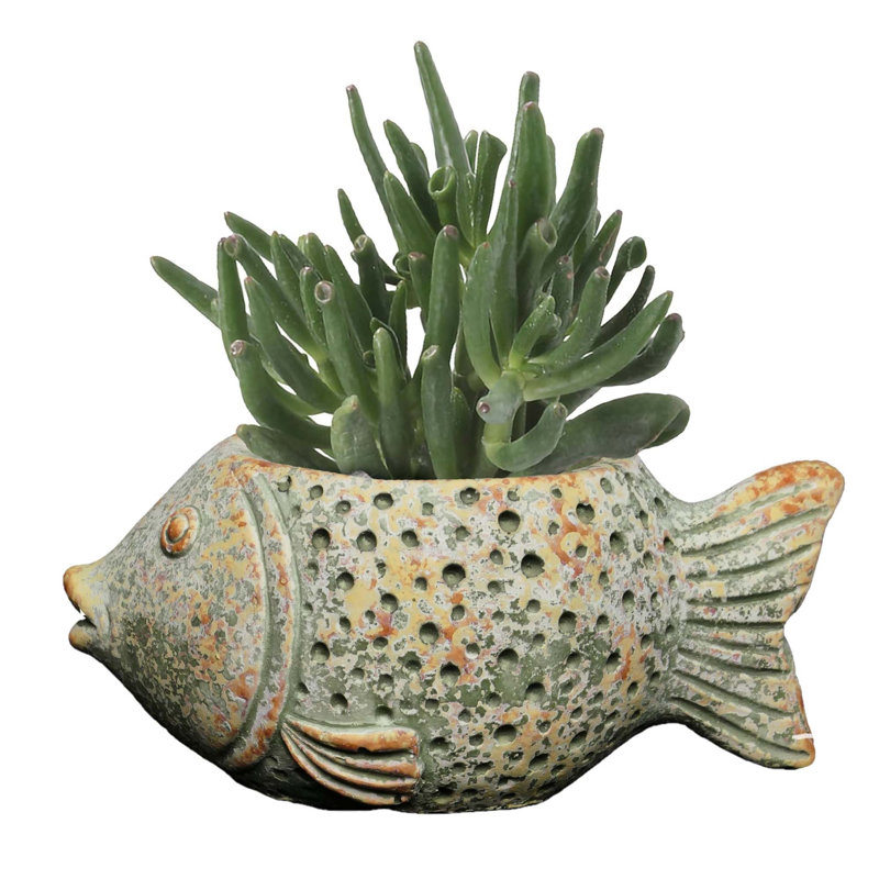 Anamari Pot Planter