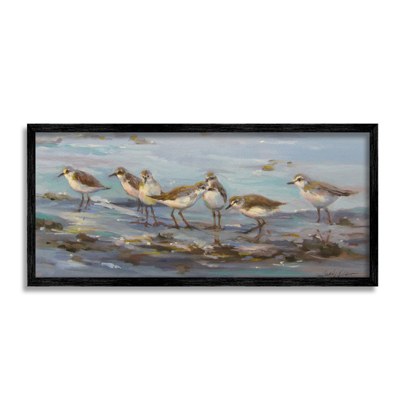 «Sandpiper Flock on Shore», estampe numérique par Sandy Nelson, H 13 po x l 30 po, Giclée encadrée noir minuit