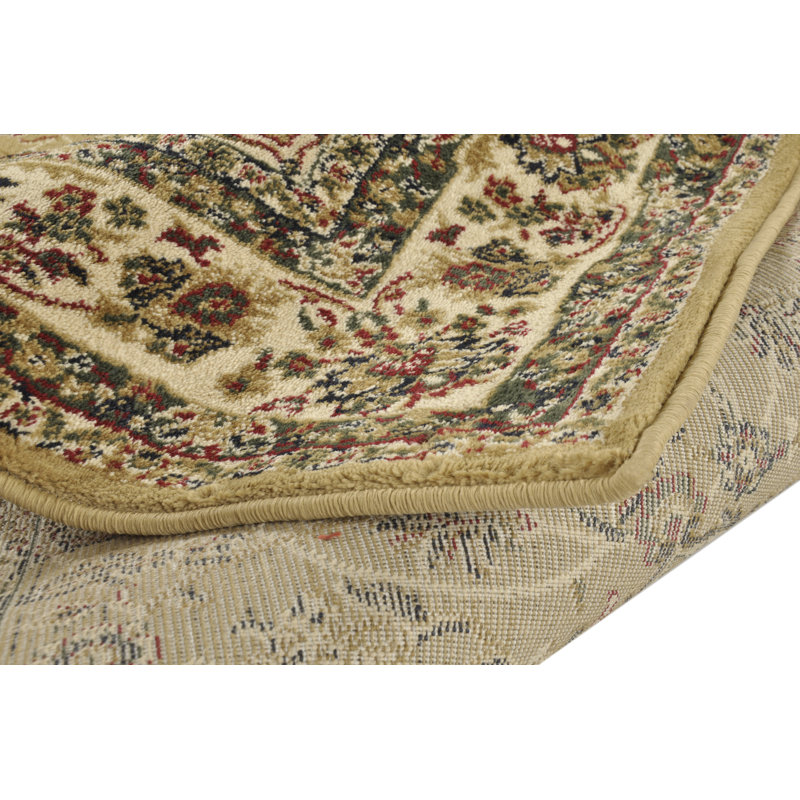 Oriental Area Rug, Rectangle 240 x 340cm