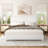 Haden Lambswool Boucle Upholstered Platform Bed Frame with Headboard-106802334-106802337