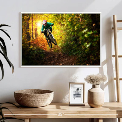 Forest Mountain Bicycle