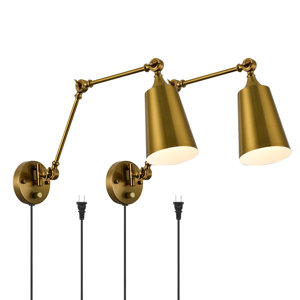 https://assets.wfcdn.com/im/28020685/resize-h300-w300%5Ecompr-r85/2342/234254013/Aneeta+Metal+Swing+Arm+Wall+Sconce.jpg