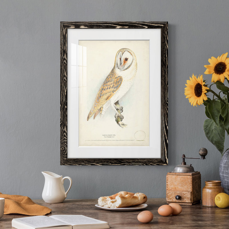 Barn Owl Premium encadré mat - prêt à accrocher, H 20 po x l 17 po x P 1 po, Cadre noir