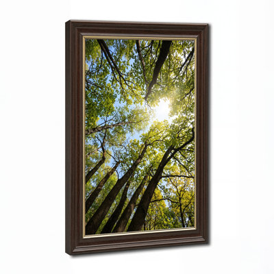 «Green Forest Trees Atteignant Up to Blue Sky» avec art mural sur toile