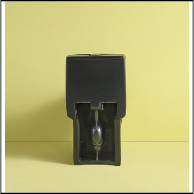 Toilette une pièce à chasse d'eau avancée 1,1 / 1,60 GPF, siège allongé au plancher, hauteur de confort confortable, fermeture en douceur, toilette 1000 grammes Map Black, noir mat