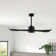 Popovich 52'' Ceiling Fan with LED Lights