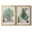 Collection Ferns I - ensemble de 2 reproductions d'art sur toile encadrées-1084683858-1084683857