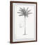 Amazon Palm Tree - Reproduction d'art graphique sur papier encadré-26161363